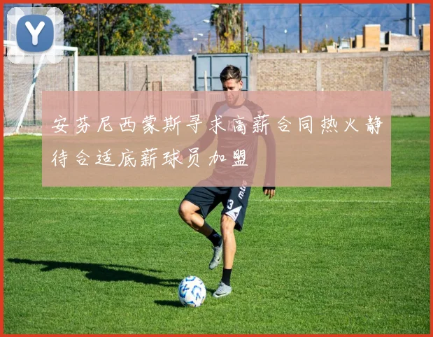 安芬尼西蒙斯寻求高薪合同热火静待合适底薪球员加盟