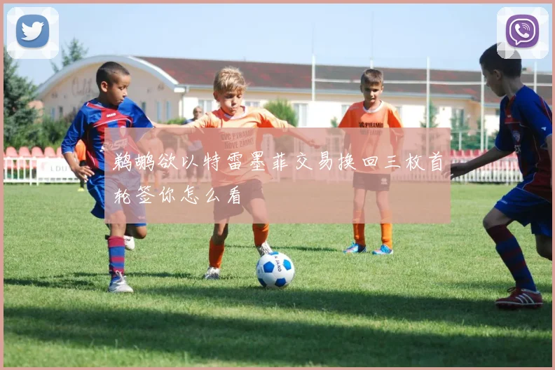 鹈鹕欲以特雷墨菲交易换回三枚首轮签你怎么看