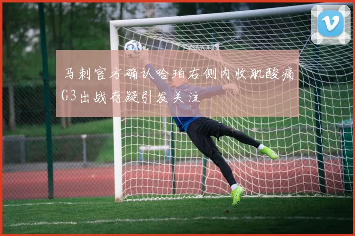 马刺官方确认哈珀右侧内收肌酸痛G3出战存疑引发关注