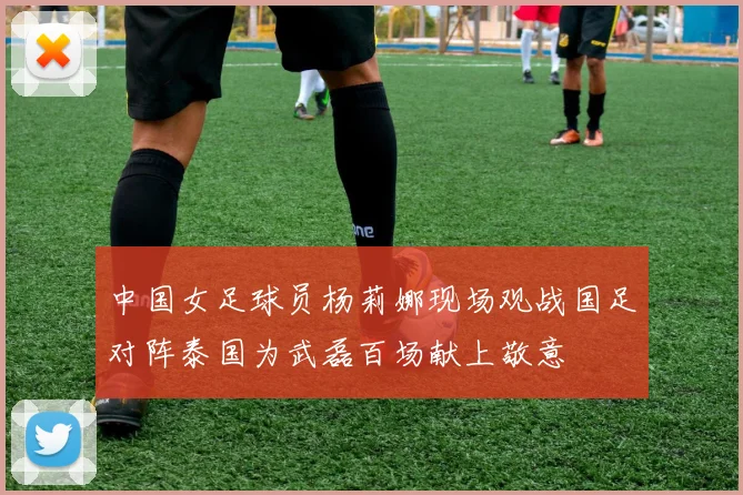 中国女足球员杨莉娜现场观战国足对阵泰国为武磊百场献上敬意